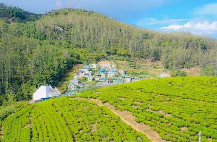 Aloka Home Stay Νουβάρα Ελίγια Εξωτερικό φωτογραφία